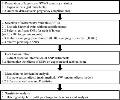 Causal associations between gut microbiota and adverse pregnancy outcomes: A two-sample Mendelian randomization study